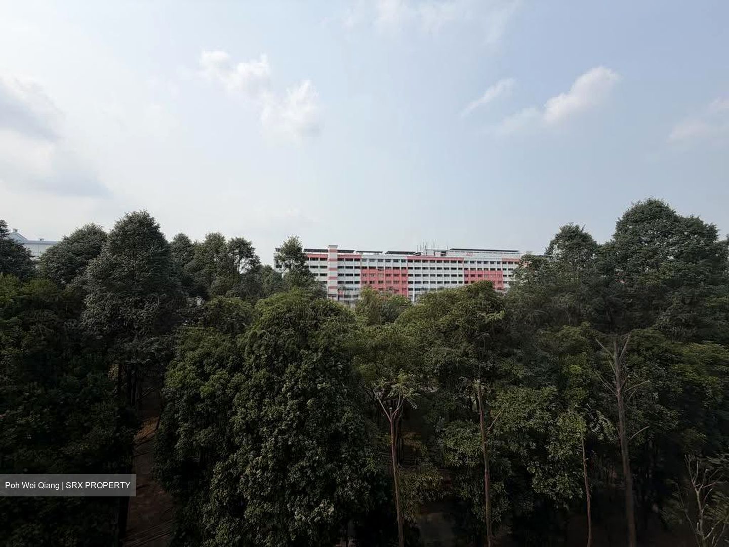 The Canopy (D27), Condominium #621187541